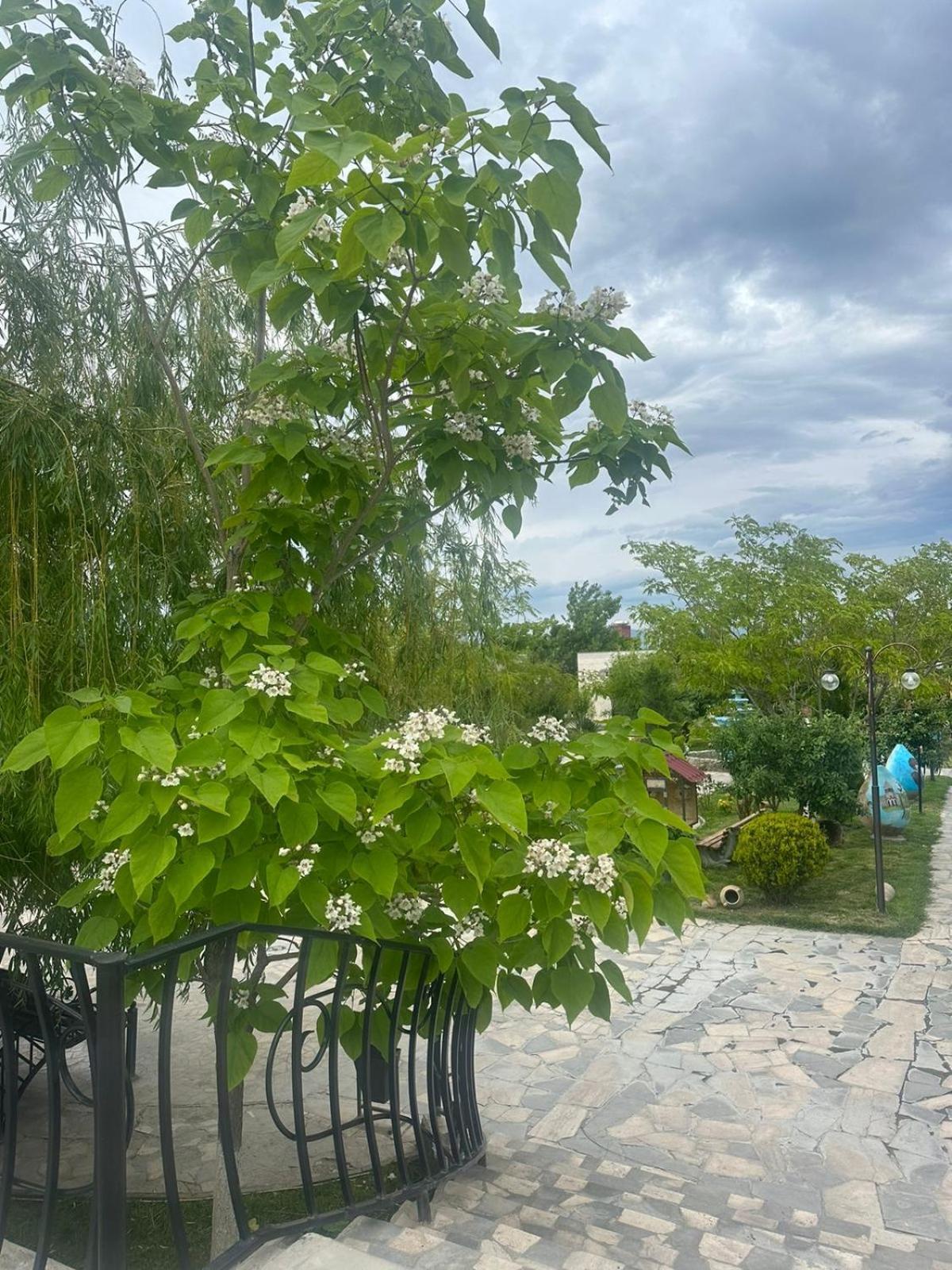 Davalinskiy Tsemzavod Ralina Restaurant And Hotel מראה חיצוני תמונה